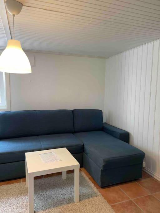 Fin Sentralt Hybel I Drammen Apartment Luaran gambar